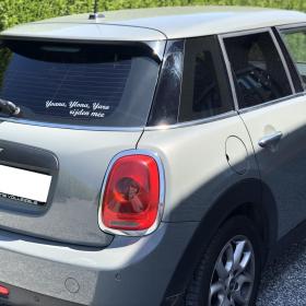 Windowtinting Mini Cooper